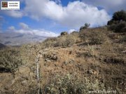 Sakturia Bauland für drei Villen mit Traum-Panorama in Saktouria mit Baugenehmigung Grundstück kaufen